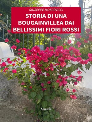 cover image of Storia di una bougainvillea dai bellissimi fiori rossi